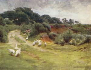 The New Forest: Royden Common, nära Brokenhurst (färg litho) av Walter Frederick Roofe Tyndale