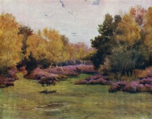 The New Forest: Rushpole Wood, Lyndhurst (färg litho) av Walter Frederick Roofe Tyndale