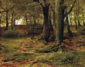 The New Forest: The Hill Woods, Lyndhurst (färg litho) av Walter Frederick Roofe Tyndale