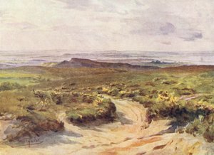 Wessex: Studland Heath, Poole Harbour i fjärran (färglitografi)