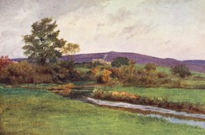 Wessex: "Rainbarrow" i samband med "the Return of the Native" (färglitografi) av Walter Frederick Roofe Tyndale
