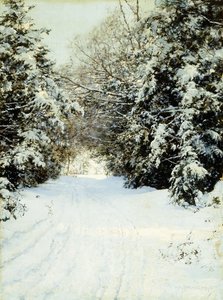 Snöbelastade träd