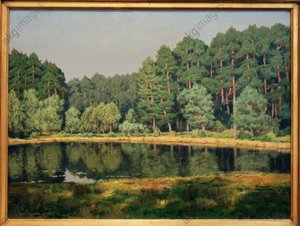 Skogslandskap med en sjö i Brandenburg