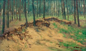Skog med sandgrop