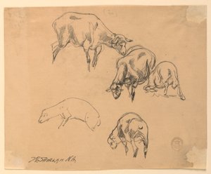 Studier av får av Walter Shirlaw
