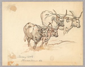 Studie av boskap i Toscana av Walter Shirlaw