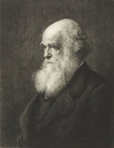 Charles Robert Darwin (gravyr) av Walter William (after) Ouless