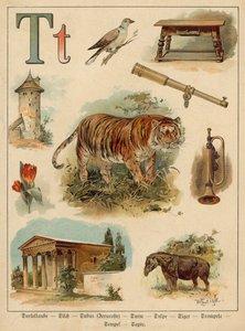 Bokstaven T (chromolitho) av Walter Zweigle