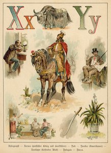 Bokstaven X och bokstaven Y (chromolitho)
