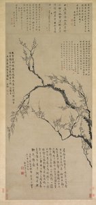 Plommonblommor av Wang Shishen