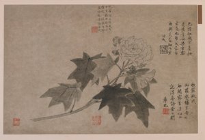 Hibiscus, 1347. av Wang Yuan