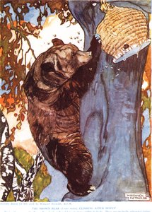 Brunbjörnen (Ursus arctos), klättrar efter honung, illustration från 