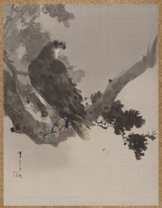 Örn i ett träd, ca. 1887.