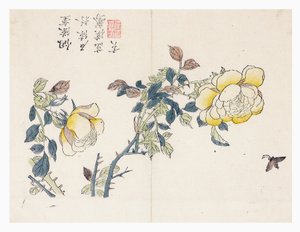 Senapsfröträdgård av Wen shu Chao