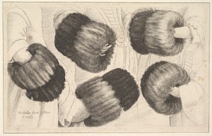 En muff i fem vyer, 1645-46. av Wenceslaus Hollar