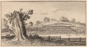 Albury av Wenceslaus Hollar