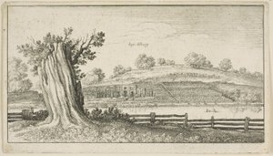 Albury med trädstubb i förgrunden av Wenceslaus Hollar
