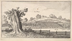 Albury med trädstubb i förgrunden, 1625-77. av Wenceslaus Hollar