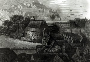 Björnträdgård, 1647 av Wenceslaus Hollar