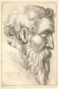 Skäggig gubbe i profil till höger, 1645. av Wenceslaus Hollar
