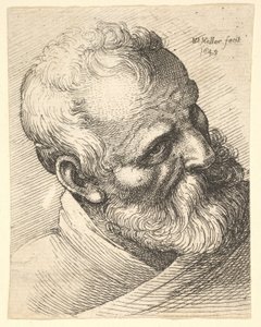 Skäggig gubbe med lutande huvud, 1645. av Wenceslaus Hollar