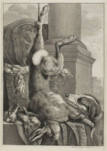 Död Hare av Wenceslaus Hollar