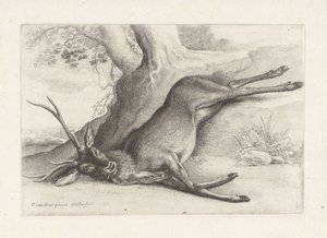 Skjut rådjur Jakt, jakthundar och vilt (serietitel) av Wenceslaus Hollar