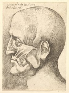 Ecorche chef för en man i profil till vänster, 1660. av Wenceslaus Hollar