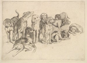 Elva jakthundar av Wenceslaus Hollar