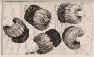 En muff sedd på fem olika sätt av Wenceslaus Hollar