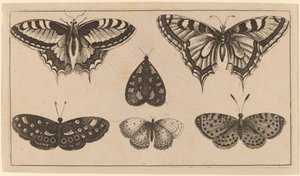 Fem fjärilar och en mal av Wenceslaus Hollar