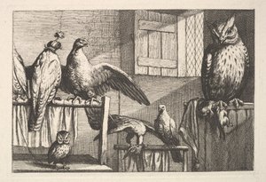 Hökar och ugglor, 1625-77. av Wenceslaus Hollar