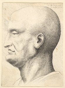 Huvudet på en skallig man i profil till vänster, 1644-52.