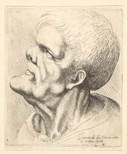 Huvudet på en man med utskjutande haka och snuvad näsa tittar uppåt i profil till vänster, 1625-77. av Wenceslaus Hollar