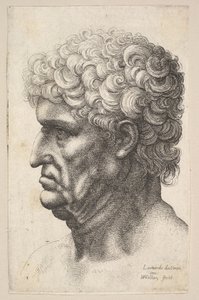 Huvud av en man med tjockt lockigt hår i profil till vänster, 1640-49. av Wenceslaus Hollar