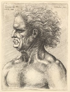 Huvudet av en muskulös gubbe i profil till vänster med flödande hår, 1625-77. av Wenceslaus Hollar