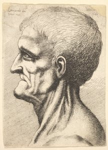Huvud av en tandlös man med bar, senig hals i profil till vänster, 1648. av Wenceslaus Hollar