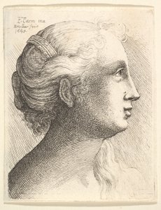 Chef för en ung kvinna i profil till höger, 1645. av Wenceslaus Hollar