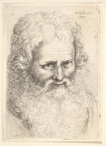 Huvud av en gammal man med stort skägg, 1645. av Wenceslaus Hollar
