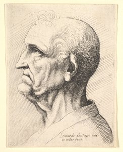 Huvud av en gammal man med lockigt hår runt örat i profil till vänster, 1644-52. av Wenceslaus Hollar