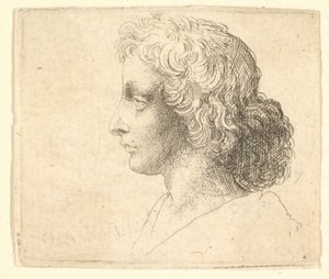 Huvud av ung man med långt hår i profil till vänster, 1644-52. av Wenceslaus Hollar
