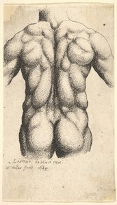 Naken manlig överkropp sedd bakifrån, 1645. av Wenceslaus Hollar