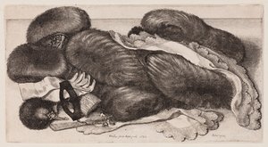  av Wenceslaus Hollar