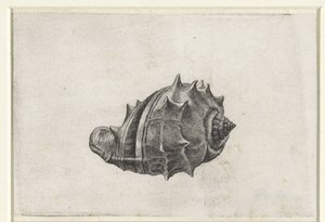 swedish av Wenceslaus Hollar