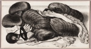 Stilleben med en grupp muffar, ett par handskar och två huvuddukar av Wenceslaus Hollar