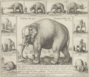 De luktar också En elefant sågs här i Europa (titel på objekt) av Wenceslaus Hollar