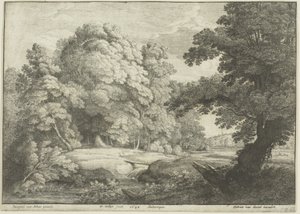 Bron över vattenfallet av Wenceslaus Hollar