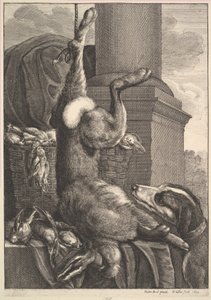 Den döda haren, 1649. av Wenceslaus Hollar