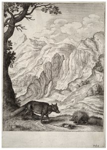 Räven och piggsvinet. Tillstånd 2 av Wenceslaus Hollar