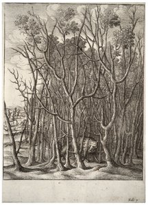 Räven och taggbusken. Tillstånd 2 av Wenceslaus Hollar